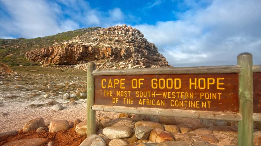 Cape of Good Hope: Sightseeing and African Penguins Tour - Transport, guide quality, and the pace of the day