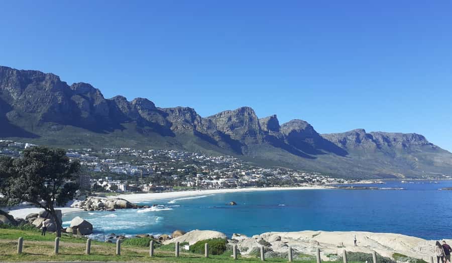 Cape of Good Hope: Sightseeing and African Penguins Tour - Why this Cape Town day trip works