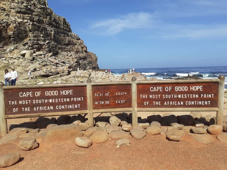 Cape of Good Hope: Sightseeing and African Penguins Tour - Hout Bay, Seal Island, and the first big choice