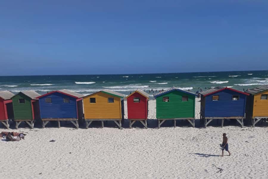 Cape of Good Hope: Sightseeing and African Penguins Tour - Boulders Beach and the African penguins