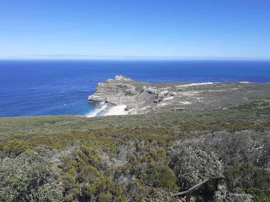 Cape of Good Hope: Sightseeing and African Penguins Tour - Cape of Good Hope Nature Reserve and Cape Point