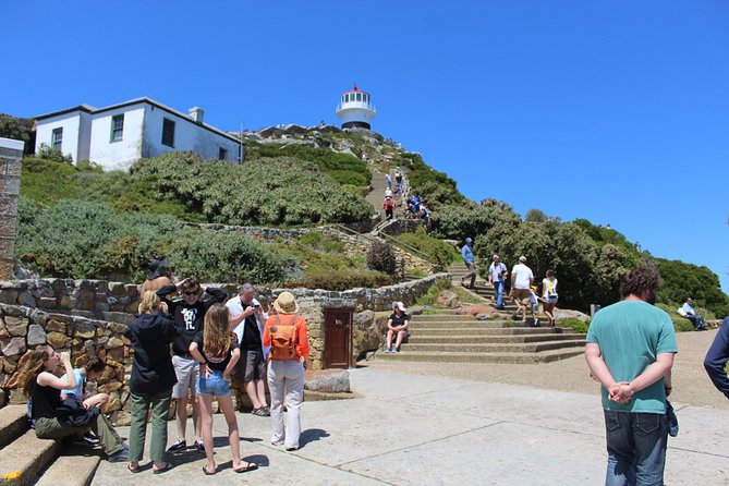 Cape of Good Hope T Mountain Bo-Kaap Penguins Private +Tickets - Hout Bay and the optional seal cruise