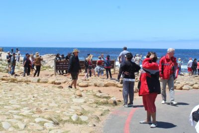 Cape of Good Hope T Mountain Bo-Kaap Penguins Private +Tickets