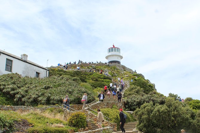 Cape of Good Hope T Mountain Bo-Kaap Penguins Private +Tickets - Chapman’s Peak Drive, the road that earns its ticket