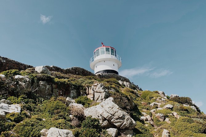 Cape of Good Hope, Table Mountain & Penguins Private Tour from Cape Town - Cape Point combines views, food, and a short walk