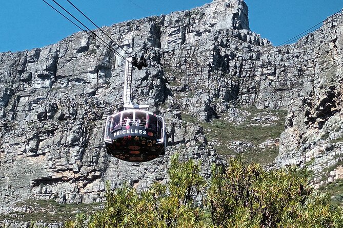 Cape of Good Hope, Table Mountain & Penguins Tour + All Tickets - Chapman’s Peak turns the drive into an attraction