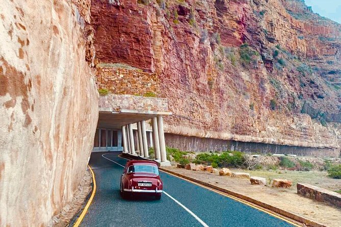 Cape Peninsula in a Vintage Car (Penguins, Cape Point & Chapman's Peak drive) - Who gets the best value from this tour