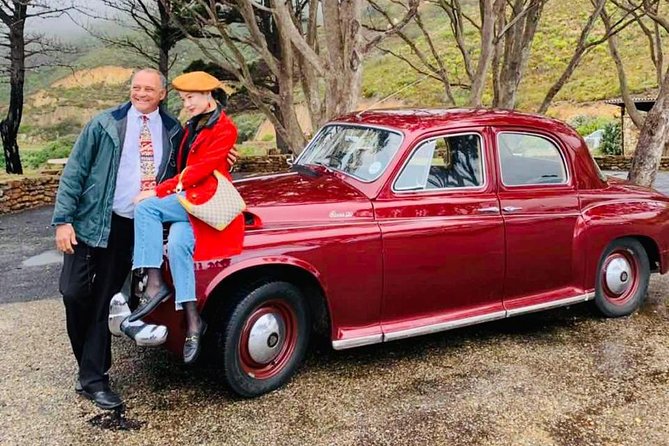 Cape Peninsula in a Vintage Car (Penguins, Cape Point & Chapman's Peak drive) - Boulders Beach: penguins, with admission extra