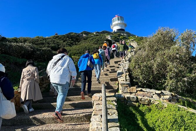 Cape Peninsula &Penguin Sightseeing in Private Car Full Day Tour - Muizenberg Beach and the Return to Cape Town