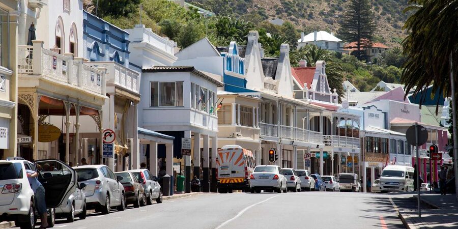 Cape Peninsula & Penguins Beach Half Day Tour from Cape Town - Who will enjoy this tour most