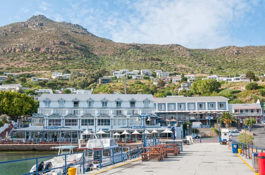 Cape Peninsula & Penguins Beach Half Day Tour from Cape Town - Boulders Beach brings you close to African penguins