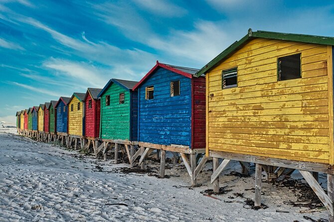 Cape Peninsula & Penguins Private Day Tour, Entrances Included. - Chapman’s Peak Drive, one of the day’s best roads