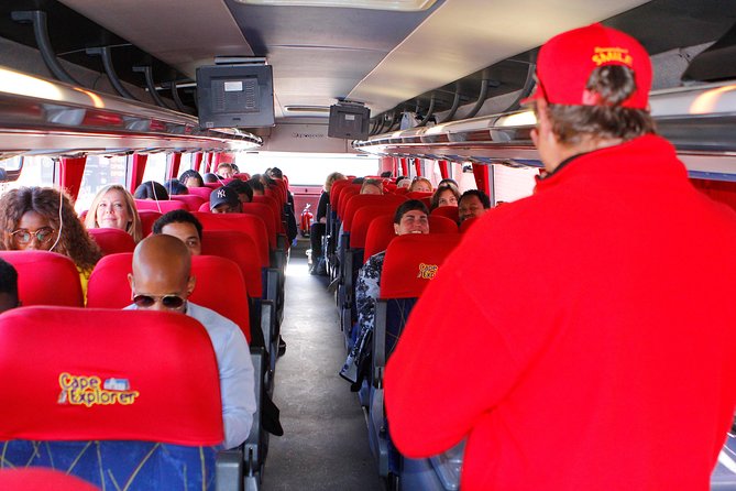 Cape Point and Boulder's Penguins Full Day Tour - Why this Cape Peninsula day trip works