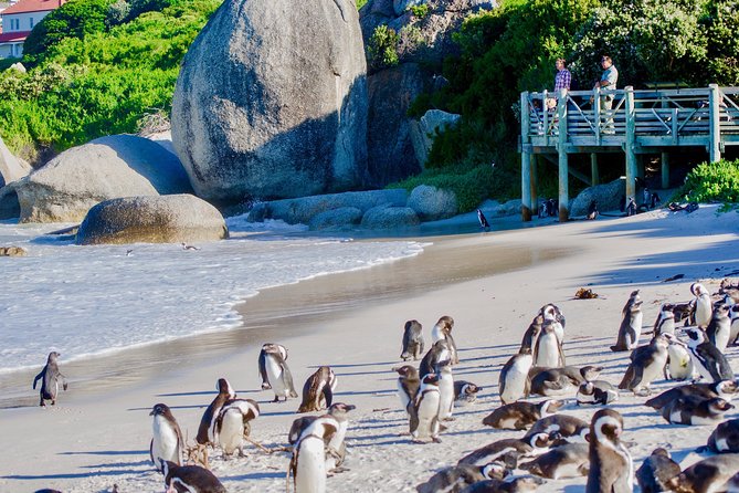 Cape Point and Boulder's Penguins Full Day Tour - Simon’s Town adds a naval touch