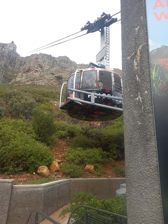 cape point and penguin ,muizenberg, bookapp - Guides, driving, and the small-group feel