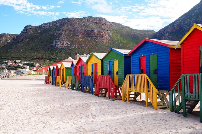 Cape Point , Boulder Beach Penguins and Cape of Good Hope Tour. - Hout Bay, seal views, and an optional boat ride