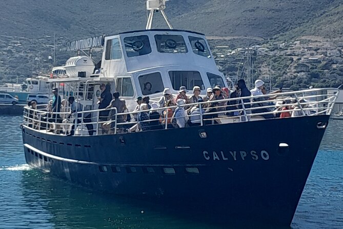 Cape Point Cape Of Good Hope And Penguins Private Tour - Cape Town and Bo-Kaap set the context
