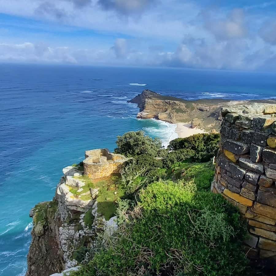 Cape Point Cape of Good Hope, Penguins Private Half day Tour - Chapmans Peak, Noordhoek, and Hout Bay
