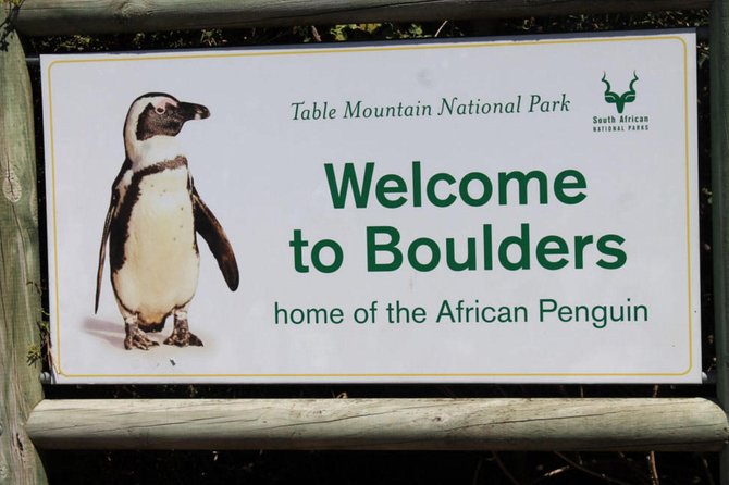 Cape Point Explore with Boulder's Penguins Small Group Day Tour - Chapman’s Peak Drive is part of the attraction