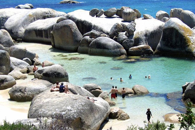 Cape Point Explore with Boulder's Penguins Small Group Day Tour - Cape Point Nature Reserve adds wildlife and open space