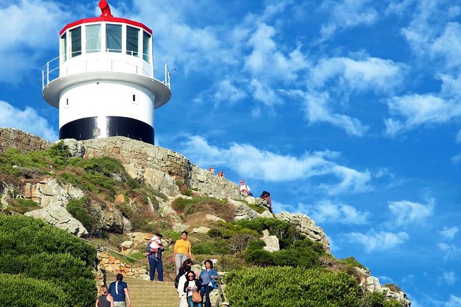 Cape Point Explore with Boulder's Penguins Small Group Day Tour - Boulders Beach offers the day’s most charming wildlife stop