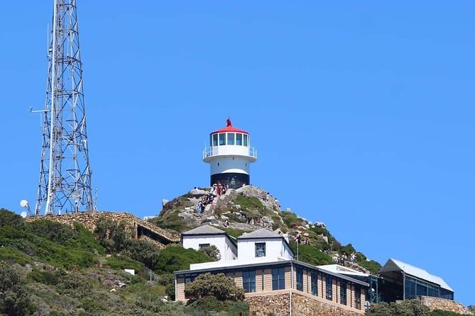 Cape Point & Penguin Explorer Tour - What this Cape Peninsula day covers