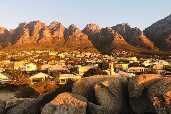 Cape Point Penguin Tour - Why this private Cape Town day works well