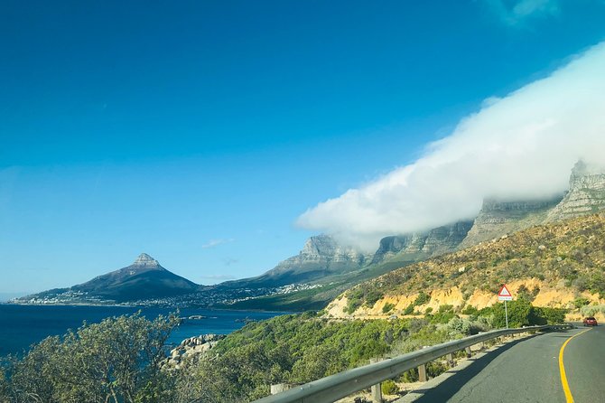 Cape Point Penguin Tour - Llandudno brings a quieter coastal viewpoint