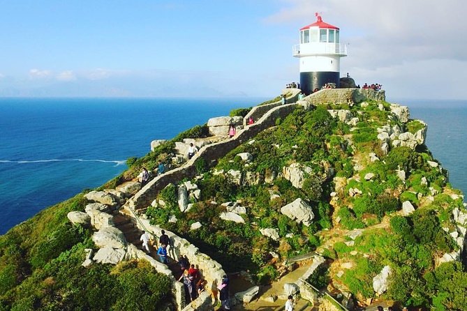 Cape Point Penguin Tour - Chapman’s Peak is a major scenic section