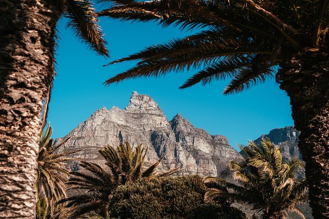 Cape Point Penguin Tour - Simon’s Town leads to the Boulders Beach penguins