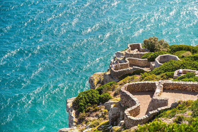 Cape Point Penguin Tour - Clifton and Camps Bay open the Atlantic route