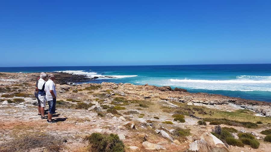 Cape Point & Penguins: Private Cape Peninsula Tour. - Is $251 per person good value?