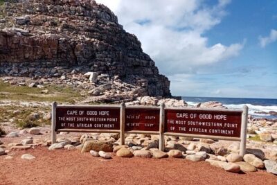 Cape Point, Penguins & Wine Tasting In Constantia Full Day Tour