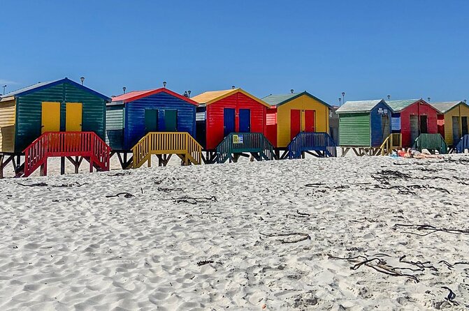 Cape Point, Penguins & Wine Tasting In Constantia Full Day Tour - Cape Point Nature Reserve and the southwestern tip
