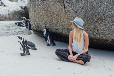 Boulders Penguin Colony Prebooked Entry Ticket