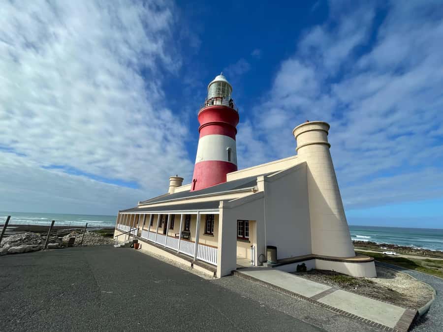 Cape Town: Cape Agulhas and Stony Point Penguin Tour - Stony Point Penguin Colony in Betty’s Bay