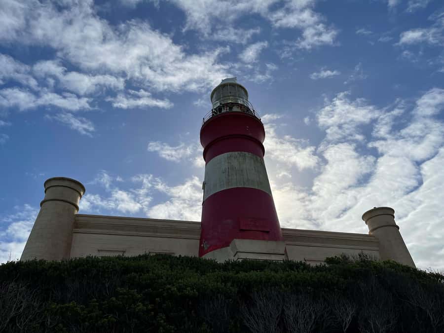 Cape Town: Cape Agulhas and Stony Point Penguin Tour - What the guide adds to a private tour