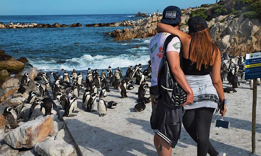 Cape Town: CAPE OF GOOD HOPE AND PENGUINS PRIVATE FULL DAY. - Why this private Cape Town day works
