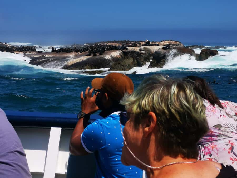 Cape Town: CAPE OF GOOD HOPE AND PENGUINS PRIVATE FULL DAY. - Cape Point and the Cape of Good Hope