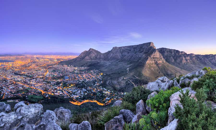Cape Town: CAPE OF GOOD HOPE AND PENGUINS PRIVATE FULL DAY. - Lunch in the reserve or Simon’s Town