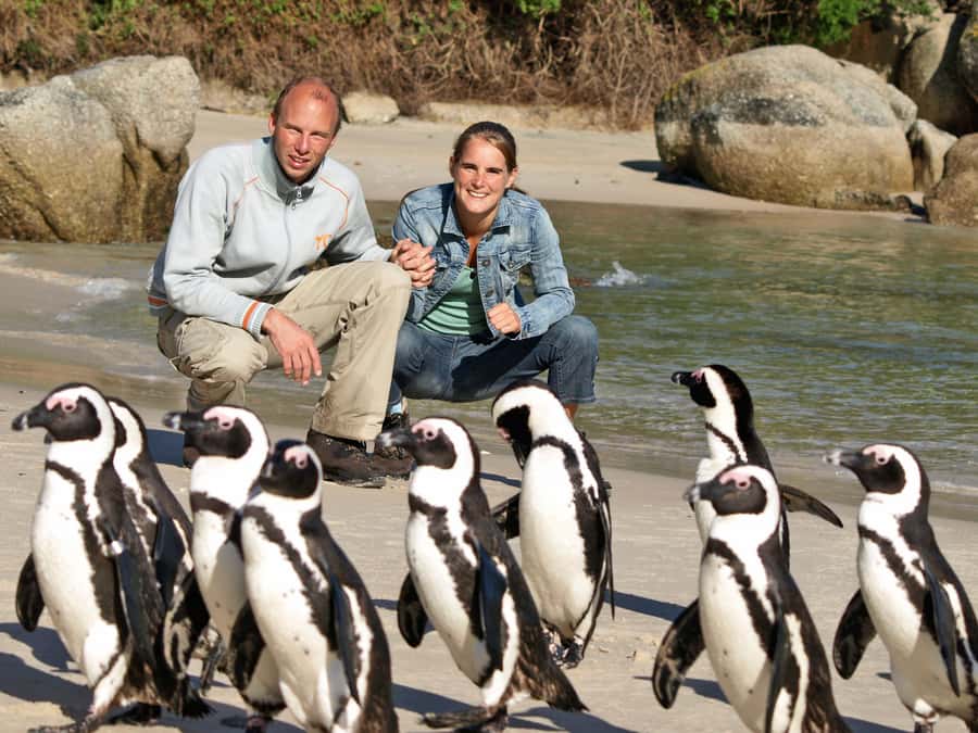 Cape Town: Cape of Good Hope & Penguins Day Tour with Pickup - Pickup, comfort, and the long road south