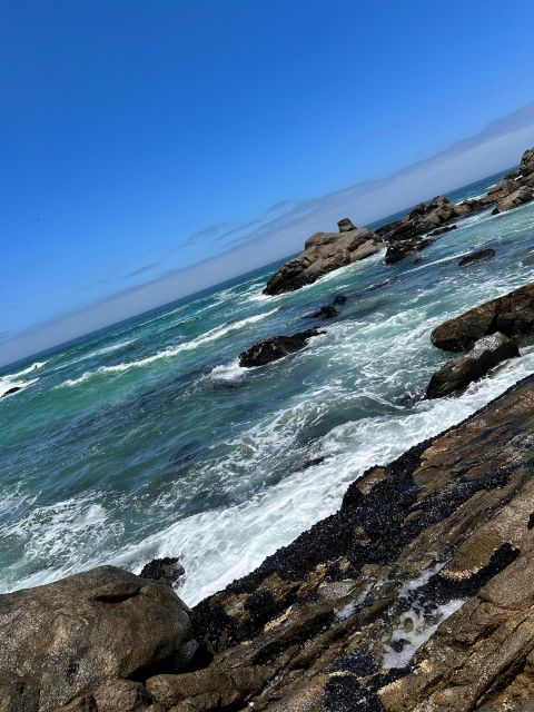 Cape Town: Cape of Good Hope & Penguins Full-Day Guided Tour - Simon’s Town lunch and the best chance to slow down