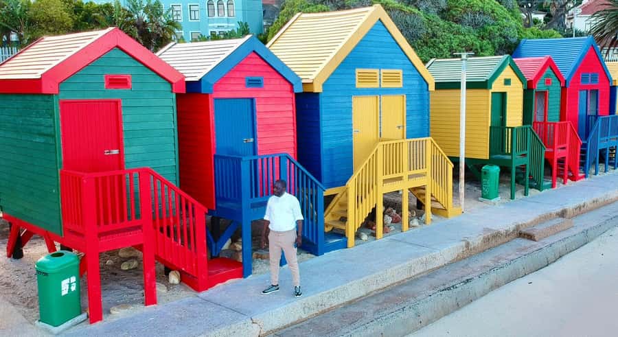 Cape Town: Cape of Good Hope & Penguins Full-Day Guided Tour - Hout Bay Harbour and the optional Seal Island boat