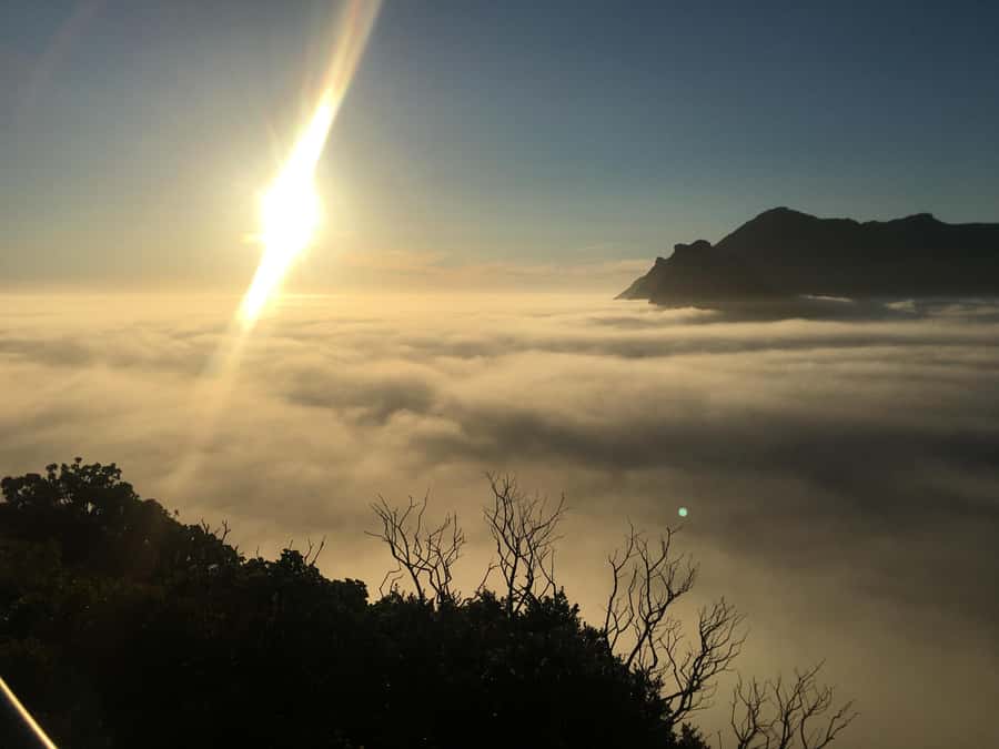 Cape Town: Cape of Good Hope & Penguins Full-Day Guided Tour - Chapman’s Peak Drive delivers the big road moment