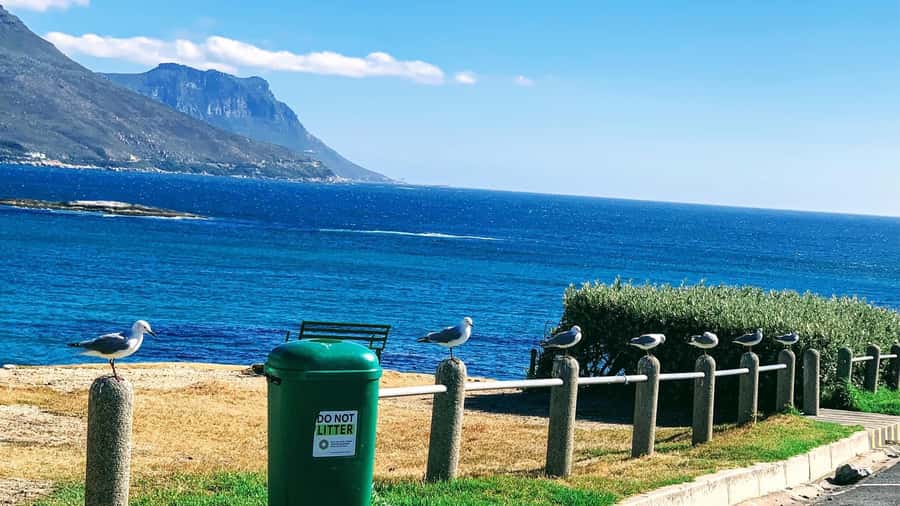 Cape Town: Cape of Good Hope & Penguins Full-Day Guided Tour - From Clifton to Camps Bay: a strong start by the sea