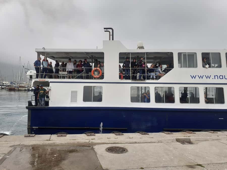 Cape Town: Cape of Good Hope, Penguins Instagram Group Tour - Hout Bay and the optional seal boat
