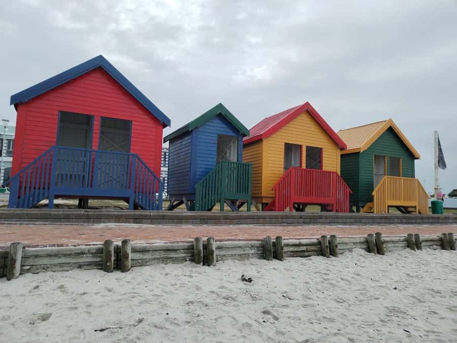 Cape Town: Cape of Good Hope, Penguins Instagram Group Tour - Boulders Beach and the African penguins