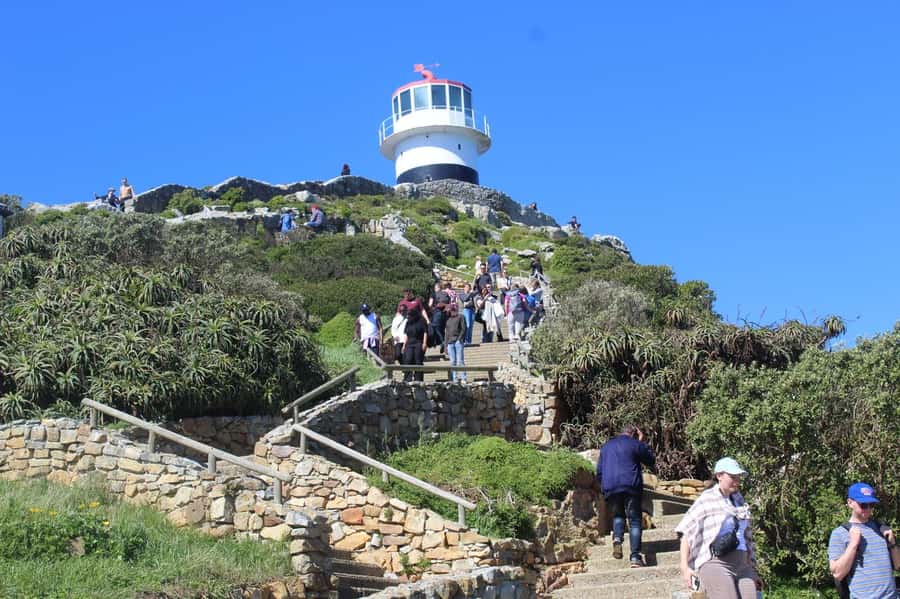 Cape Town: Cape of Good Hope & Penguins Private Scenic Tour - What is included, and what will cost extra