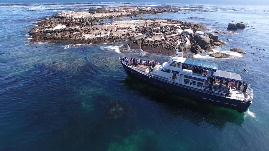 Cape Town: Cape of Good Hope, Seals and Penguins Day Tour - Bantry Bay, Clifton, and the first Cape Town views