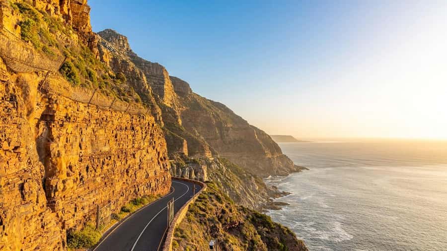 Cape Town: Cape Point and Penguin Colony Full Day Tour - Why this tour works for a first Cape Town visit